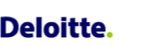Deloitte Virtual Dataroom