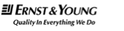 Ernst & Young Virtual Dataroom