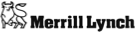 Merrill Lynch Virtual Dataroom
