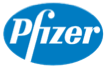 Pfizer Virtual Dataroom