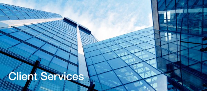 Virtual Data Room Client Services
